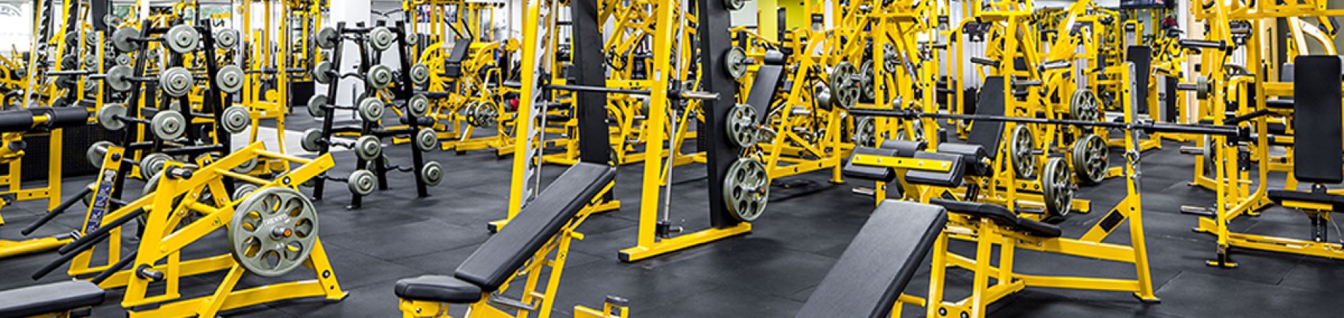 Start a Gold’s Gym Franchise - What Franchise